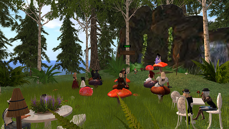NB_Snapshot_313